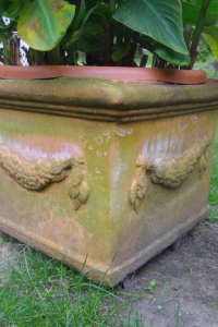 Terracotta Topf