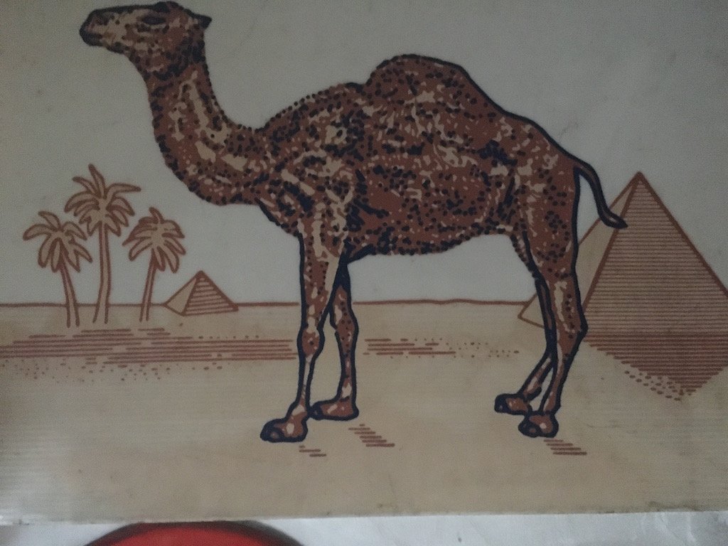 Camel Plexiglas für Leuchtobjekt