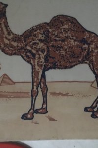Camel Plexiglas für Leuchtobjekt
