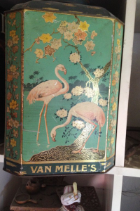 Van Nelle`s Dose Flamingos