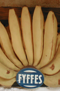 Fyffes Bananenlampe